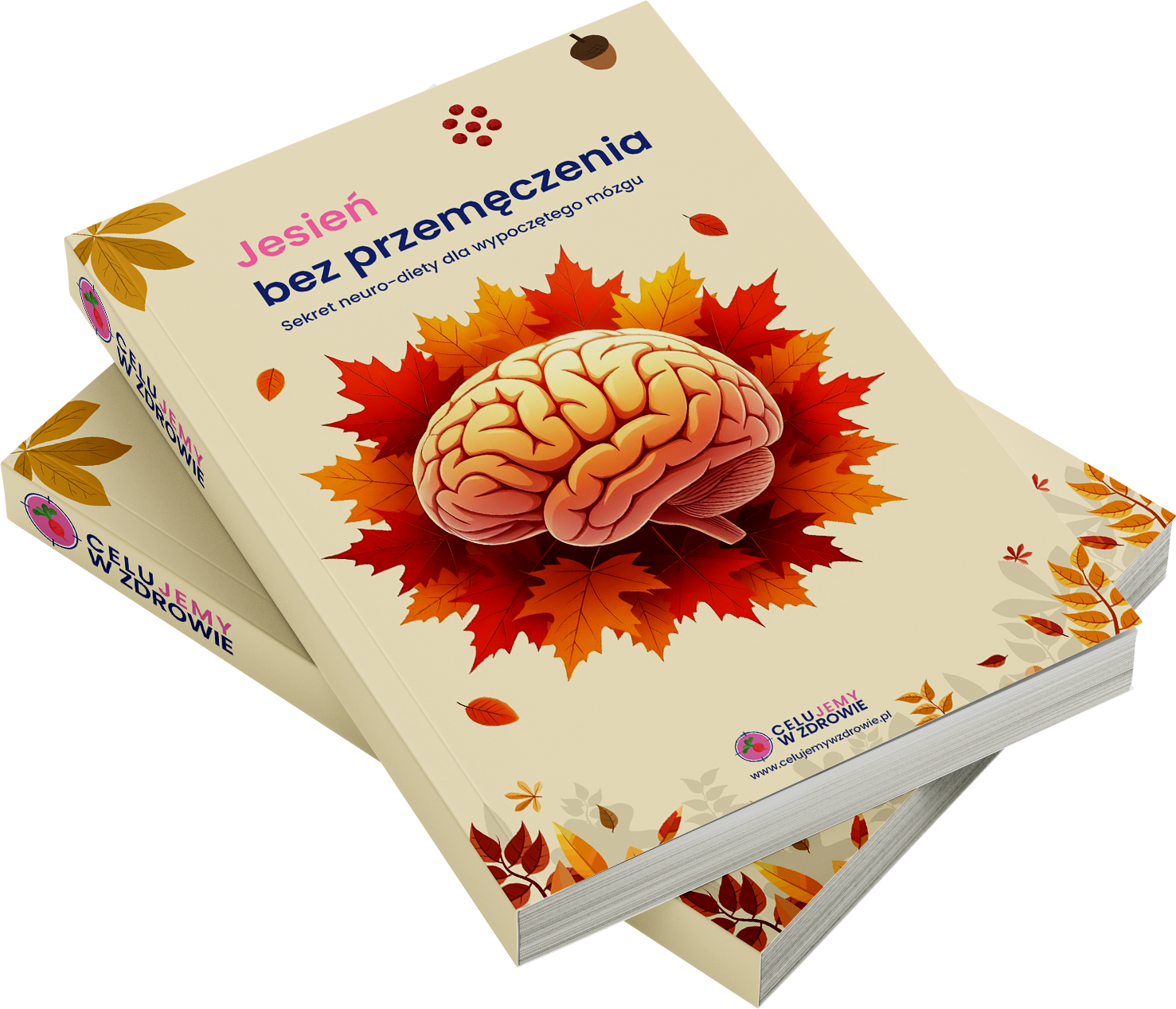 Celujemywzdrowie.pl - Mgr. Gabriela Mazurkiewicz - Jesień bez przemęczenia: Sekret neuro-diety dla wypoczętego mózgu